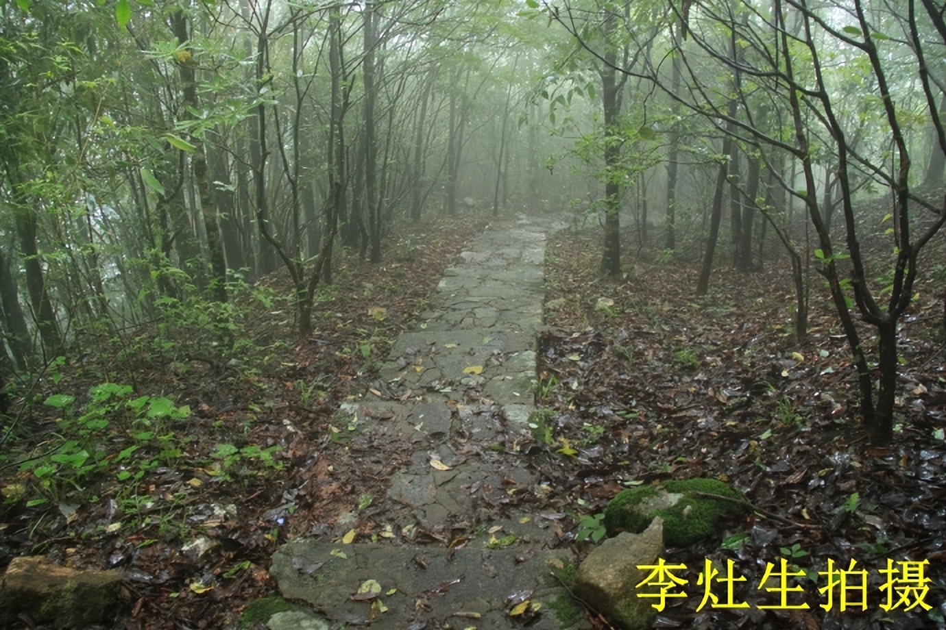 桂林猫儿山老山界,老山界猫儿山