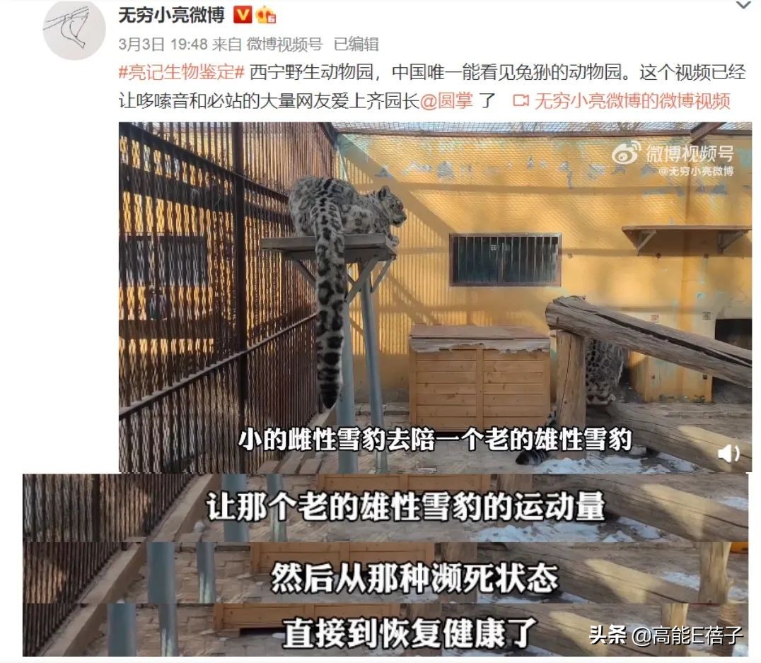 疫情囤东西攻略,末日求生囤货指南