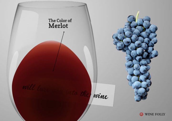 梅洛哪款葡萄酒好喝,没喝过梅子酒会怎么样