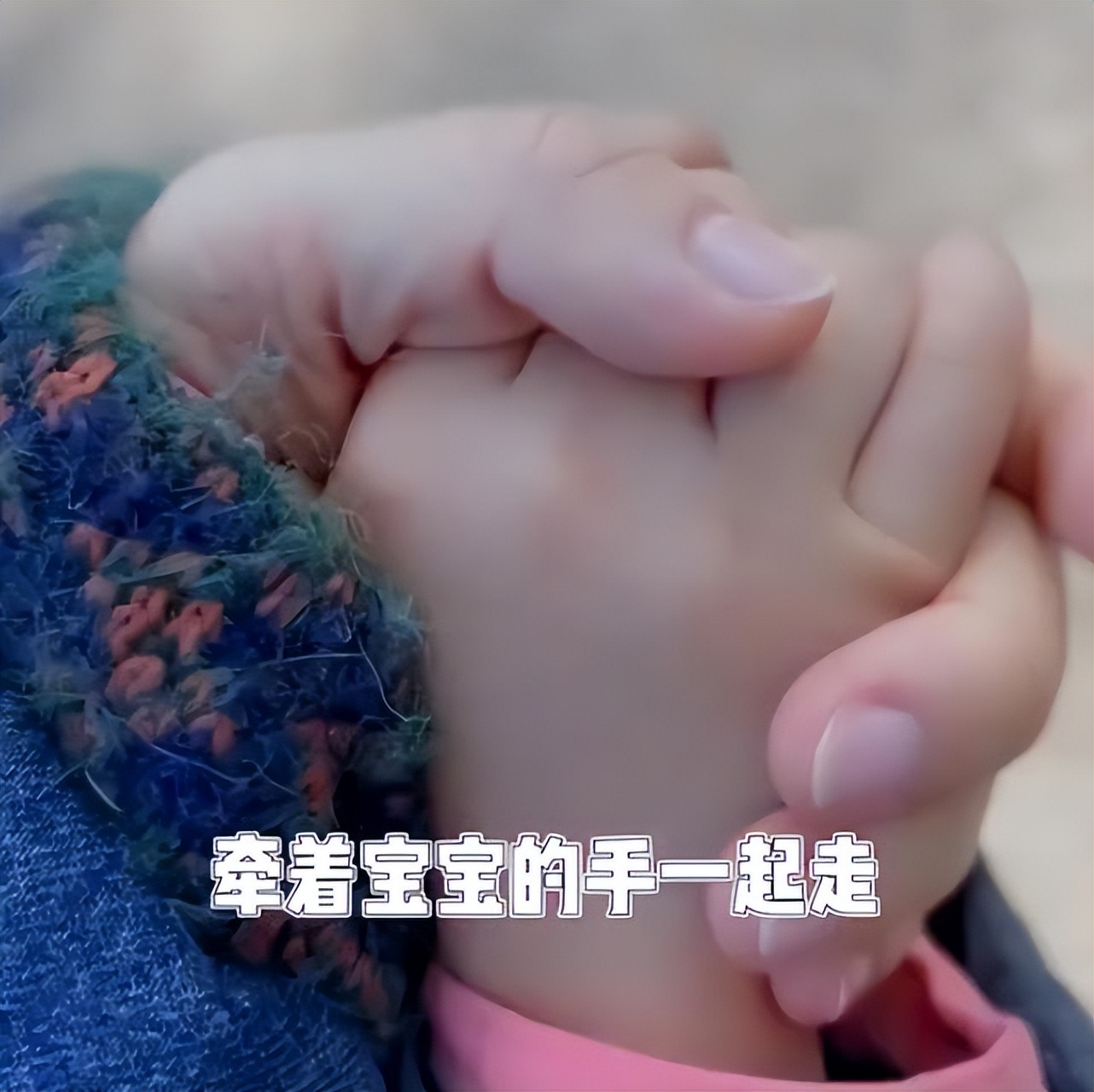 谢娜综艺谈小咘芽,谢娜和小咘芽的互动