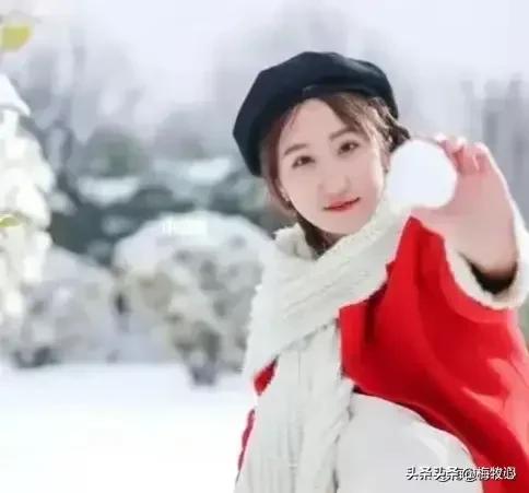 紫石金麟|咏梅七律三十韵②（二叠韵合集）