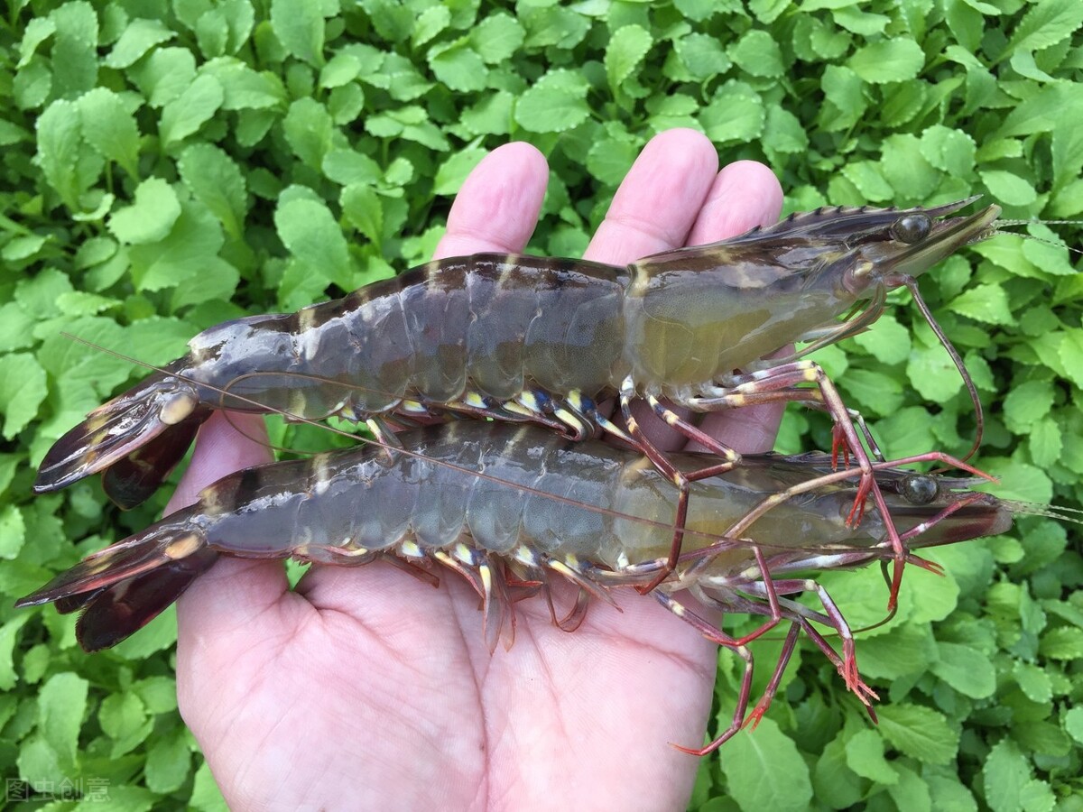 汕尾国家发改委批复,汕尾城区95亿项目获批