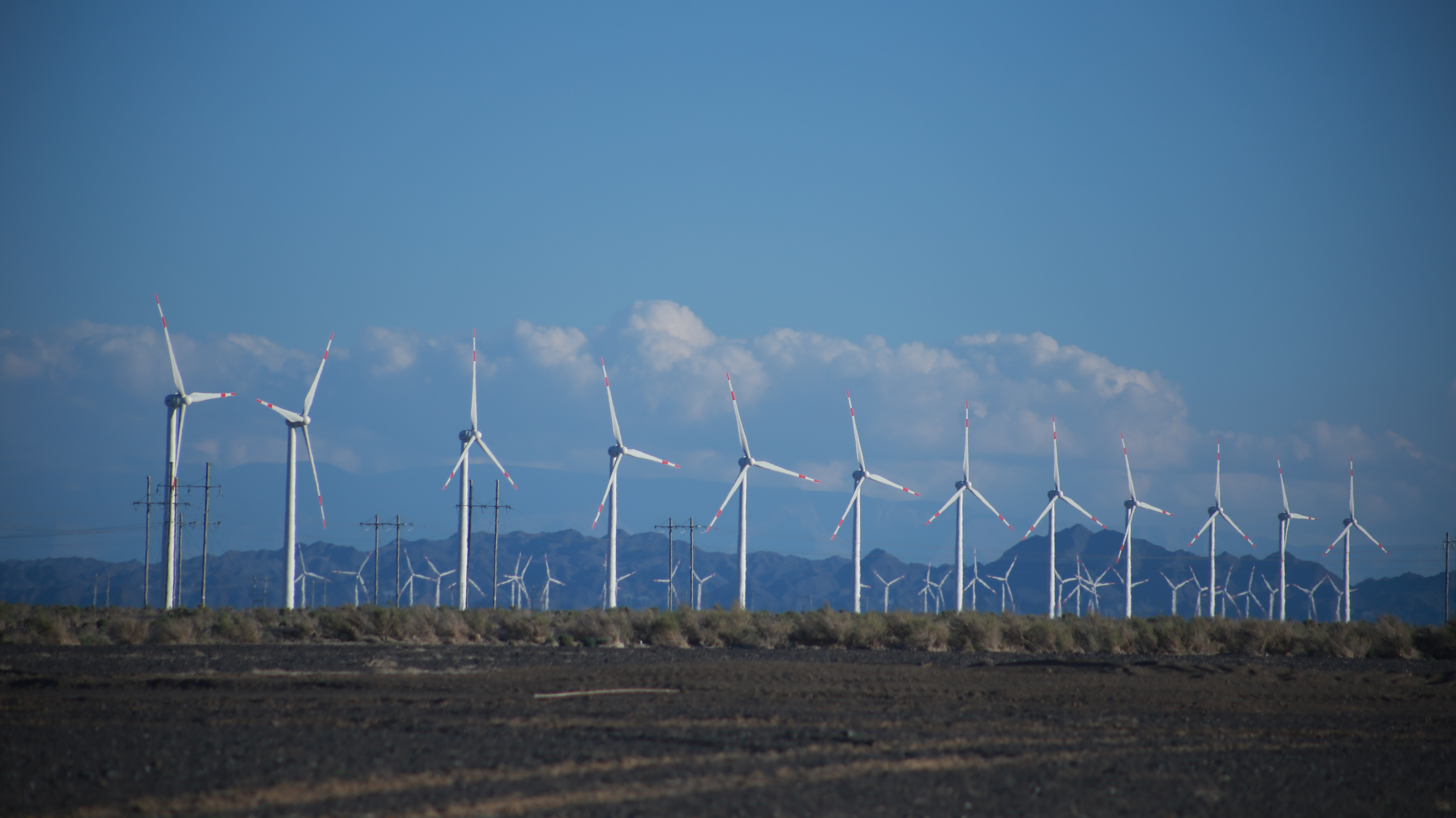张北的风点亮北京的灯是谁说的,张北的风点亮北京的灯