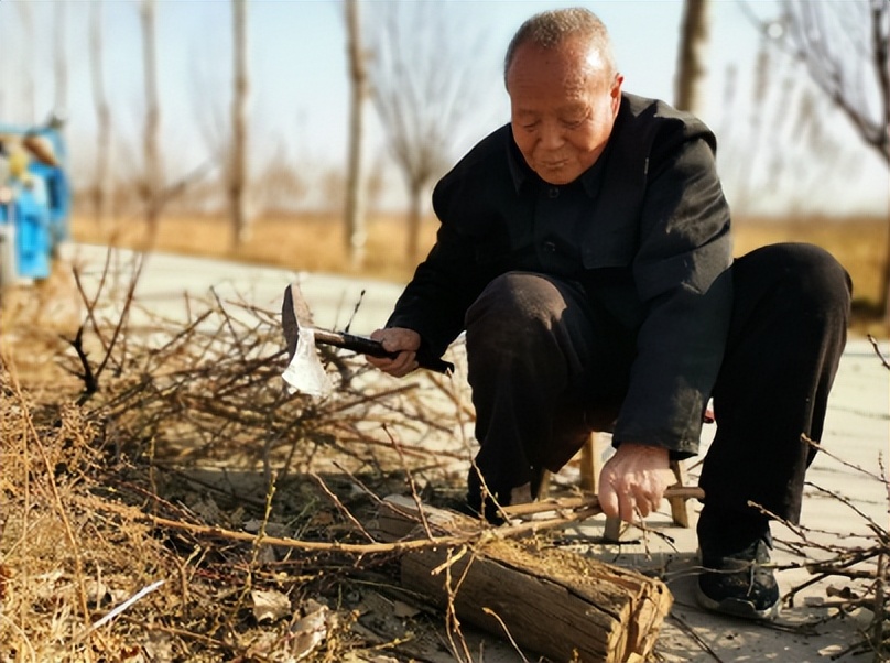 百岁老人吃烟长寿秘诀,老人长寿秘诀抽烟喝酒吃肉