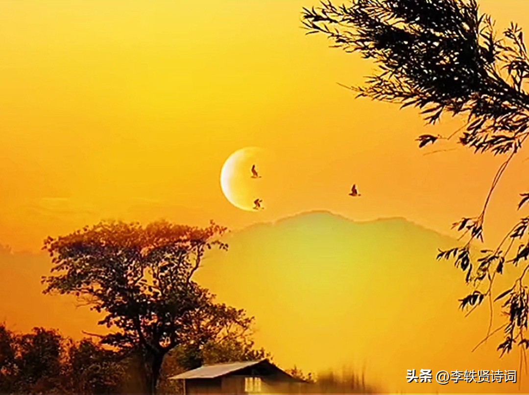 《百味诗词》第13期“如果每天都有毒，定知解药是阳光。”