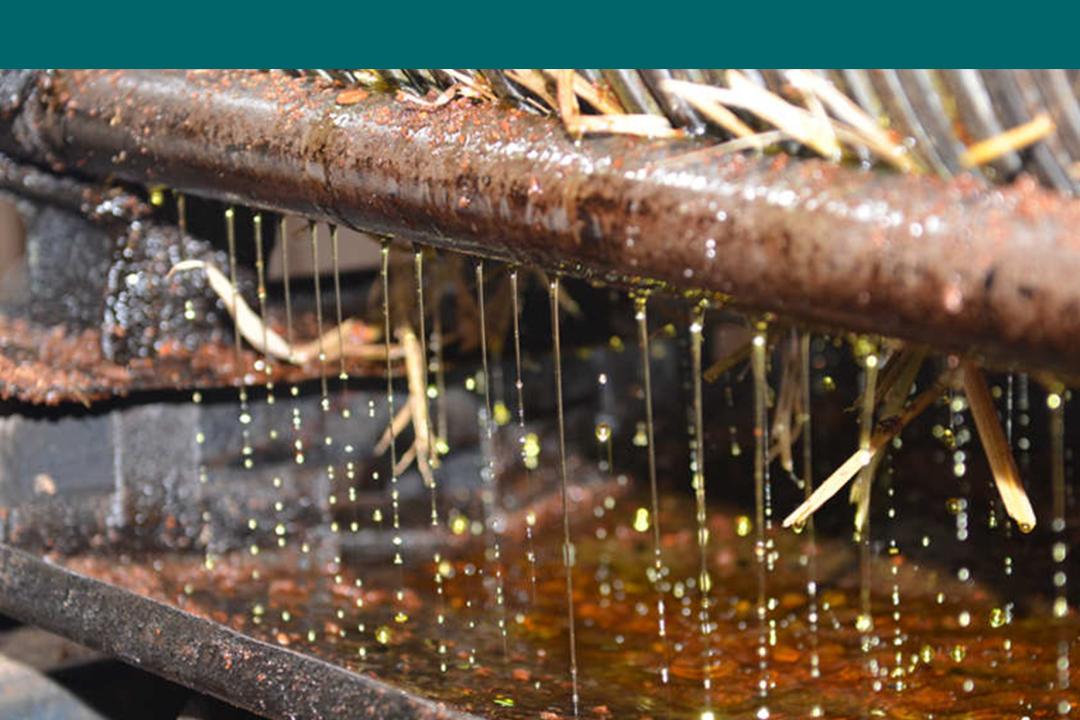 食用油选购标签,食用油品牌选购