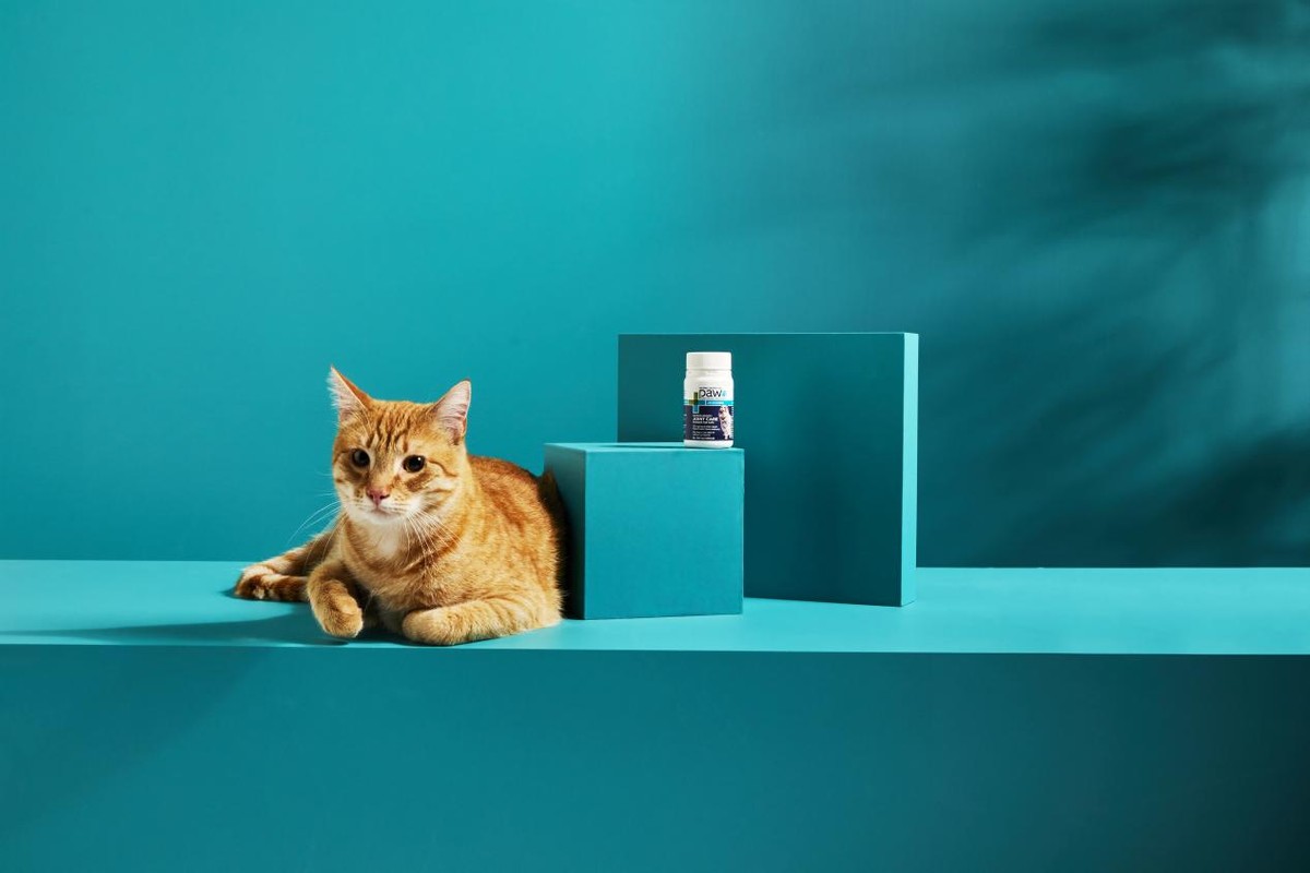 paw澳乐宠软骨素,paw澳乐宠软骨素怎么样