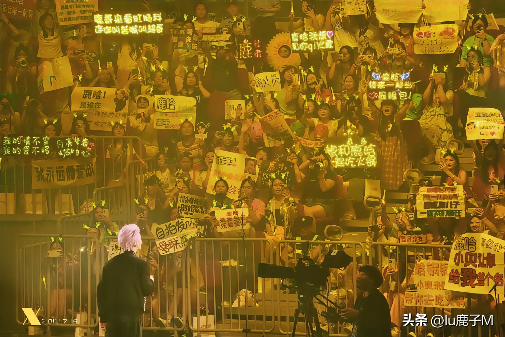 鹿晗说芦苇视频,鹿晗芦苇天下第一好原视频