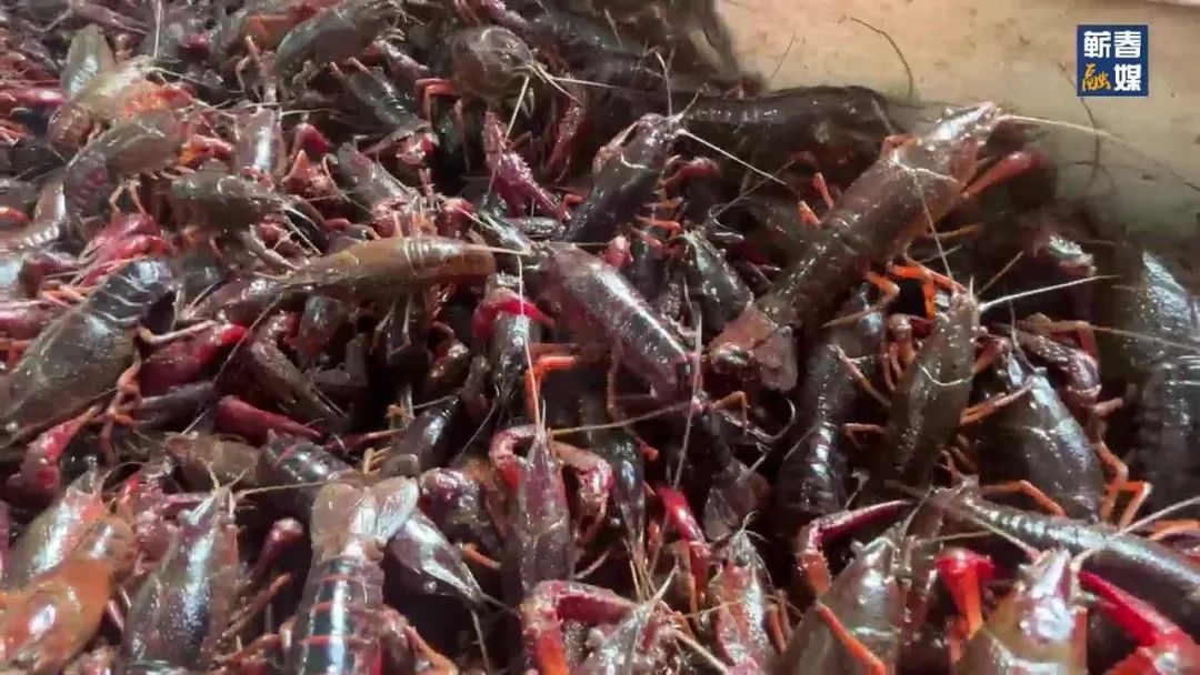 直击现场合集,直击现场拍摄