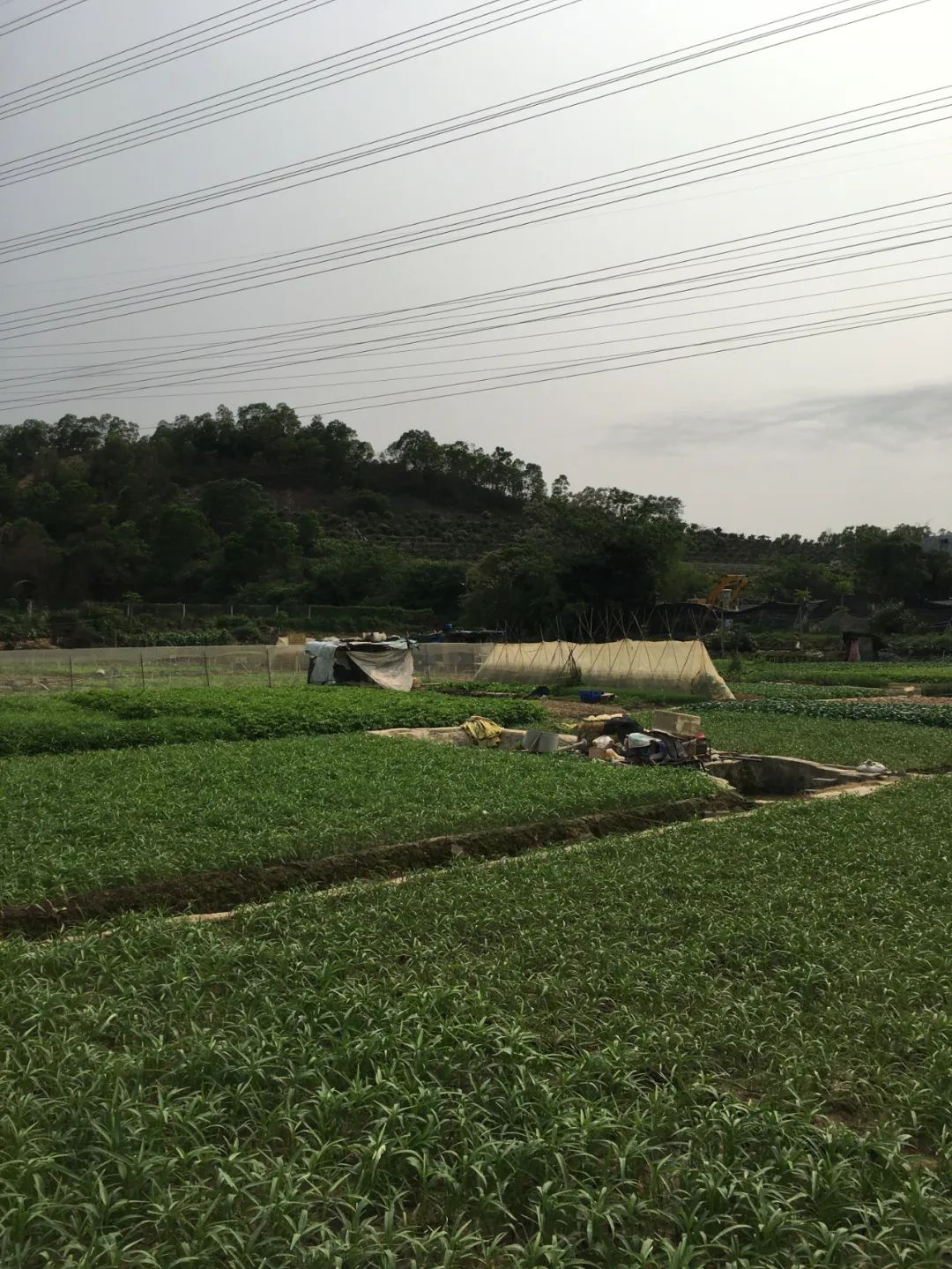 旭光车行雅迪电动车,旭光单车