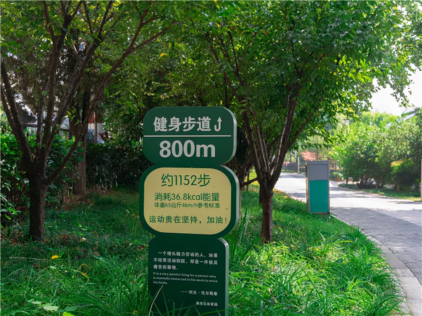 南京塑胶健身步道,10条南京最美步道