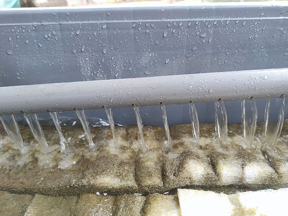 鱼缸水质试纸,亚硝酸盐高鱼缸