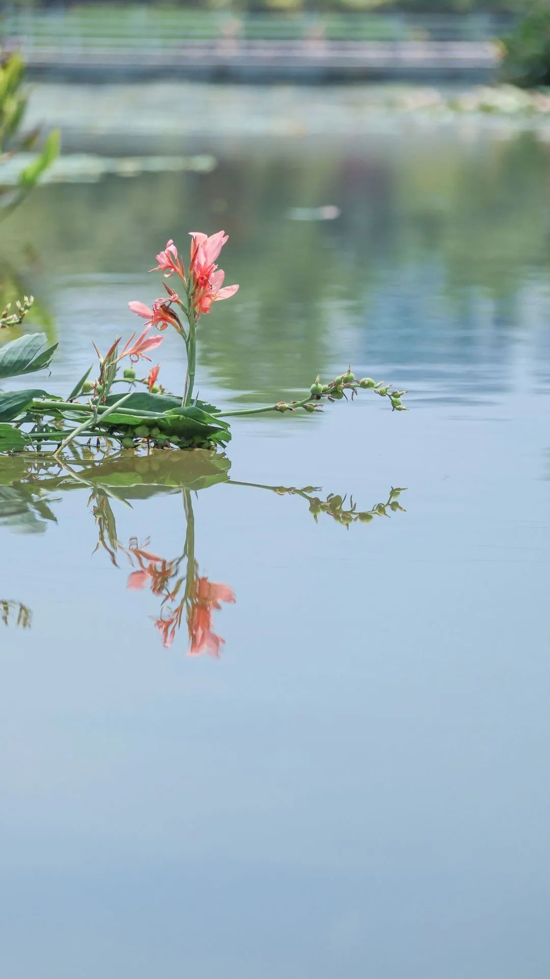 我为什么建议你留在一线城市,我为什么推荐你一定考北邮