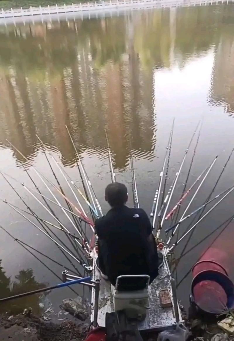 6岁就有这般行云流水的操作，妥妥的高手一枚，钓鱼界的后起之秀