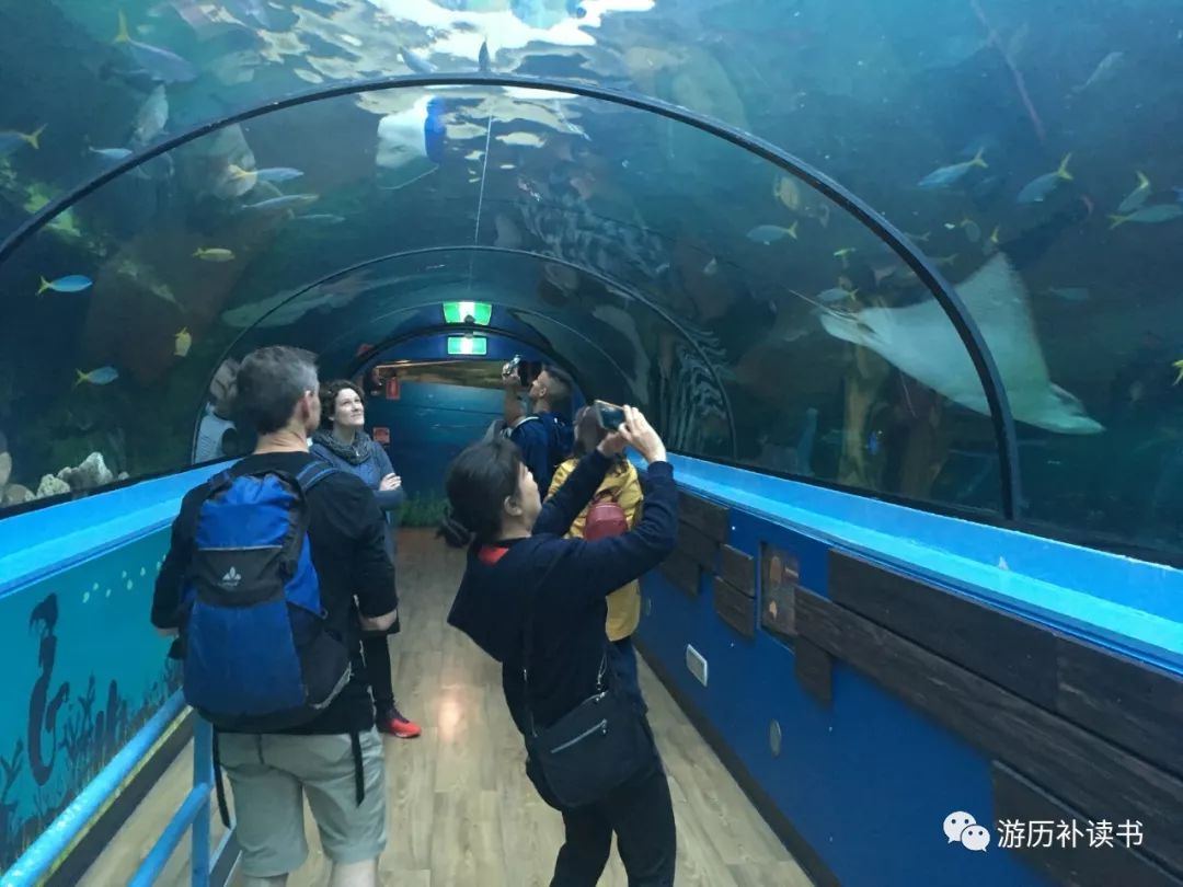 澳大利亚印象(代小结)——澳大利亚行记7