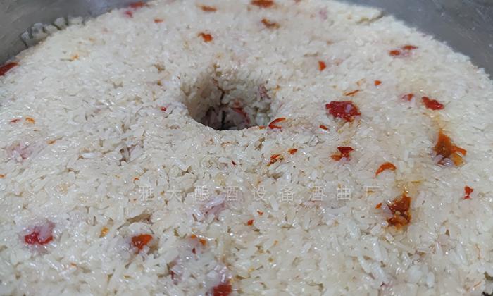 省心的白酒酿酒设备,500左右纯粮酿酒设备