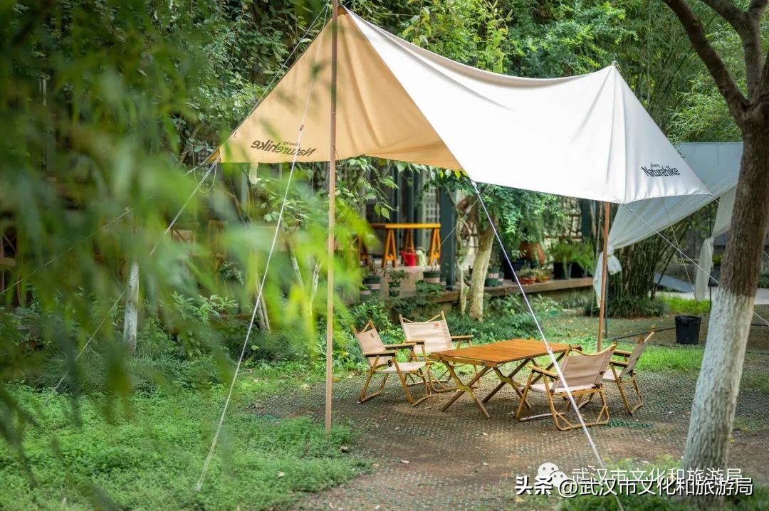 九月，秋风吹进武汉人的小院