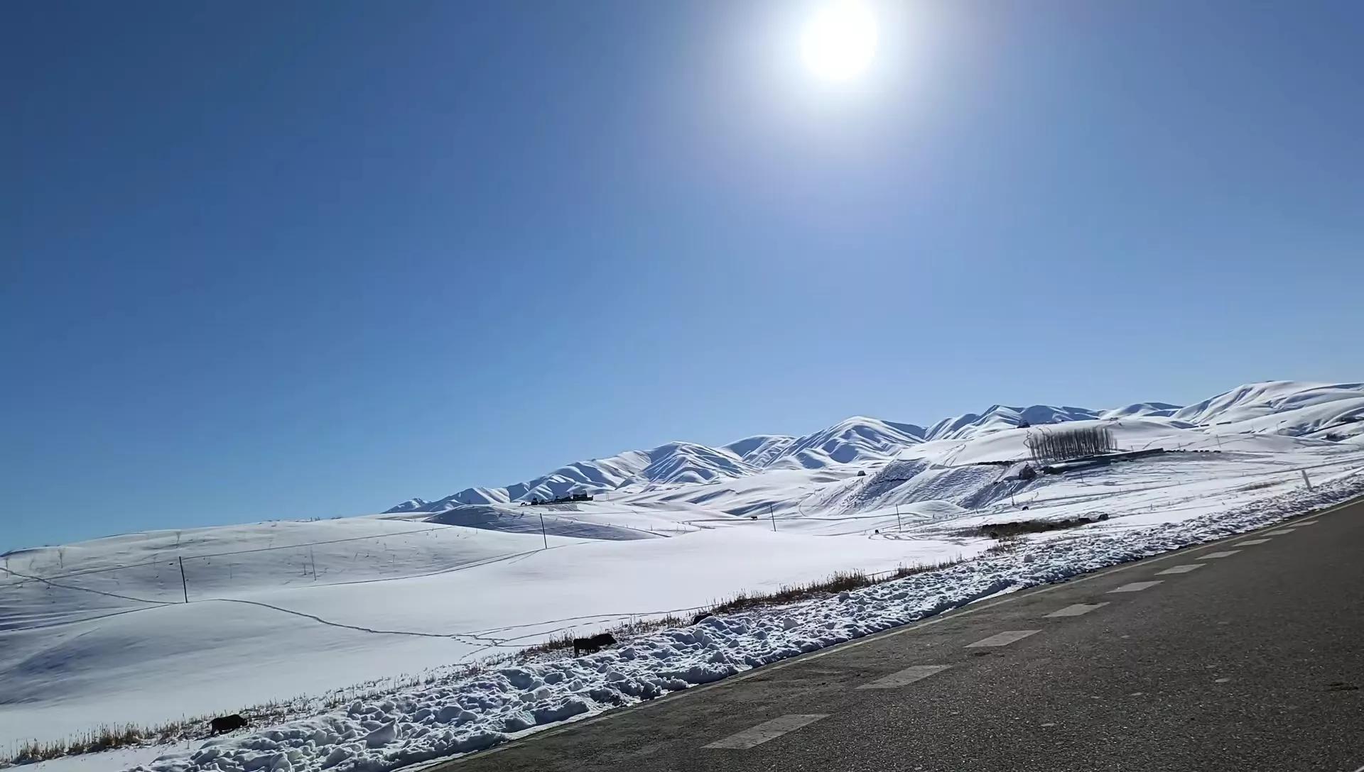 新股民申购新股条件,新入市的股民怎么选股