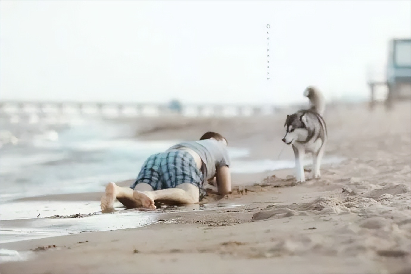 情人节冷笑话段子,情人节冷笑话段子大全