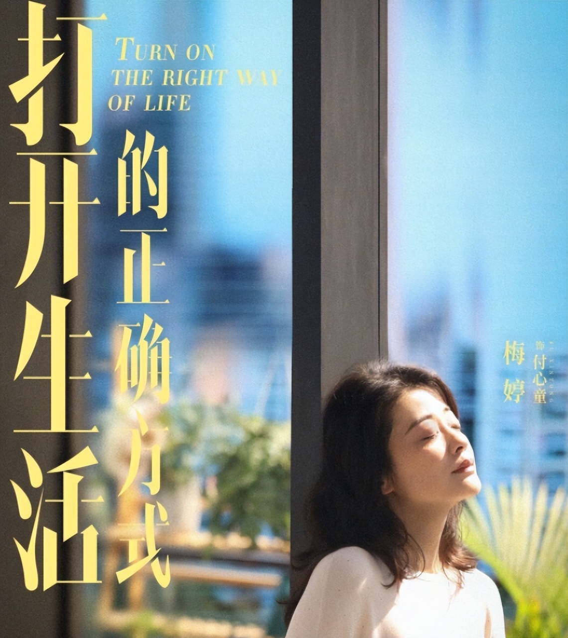 6部预定爆款剧,央视六套热播剧