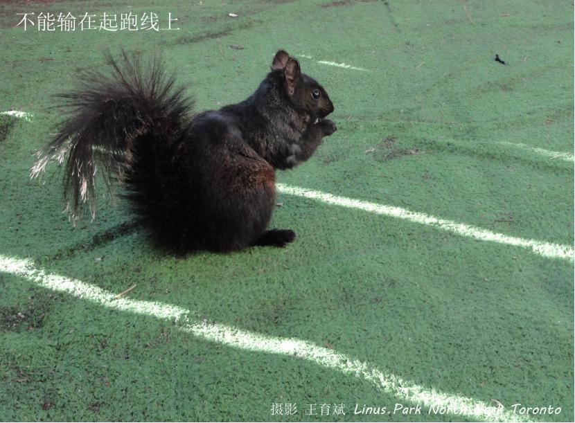 球星的诞生,球星的绰号是怎么来的