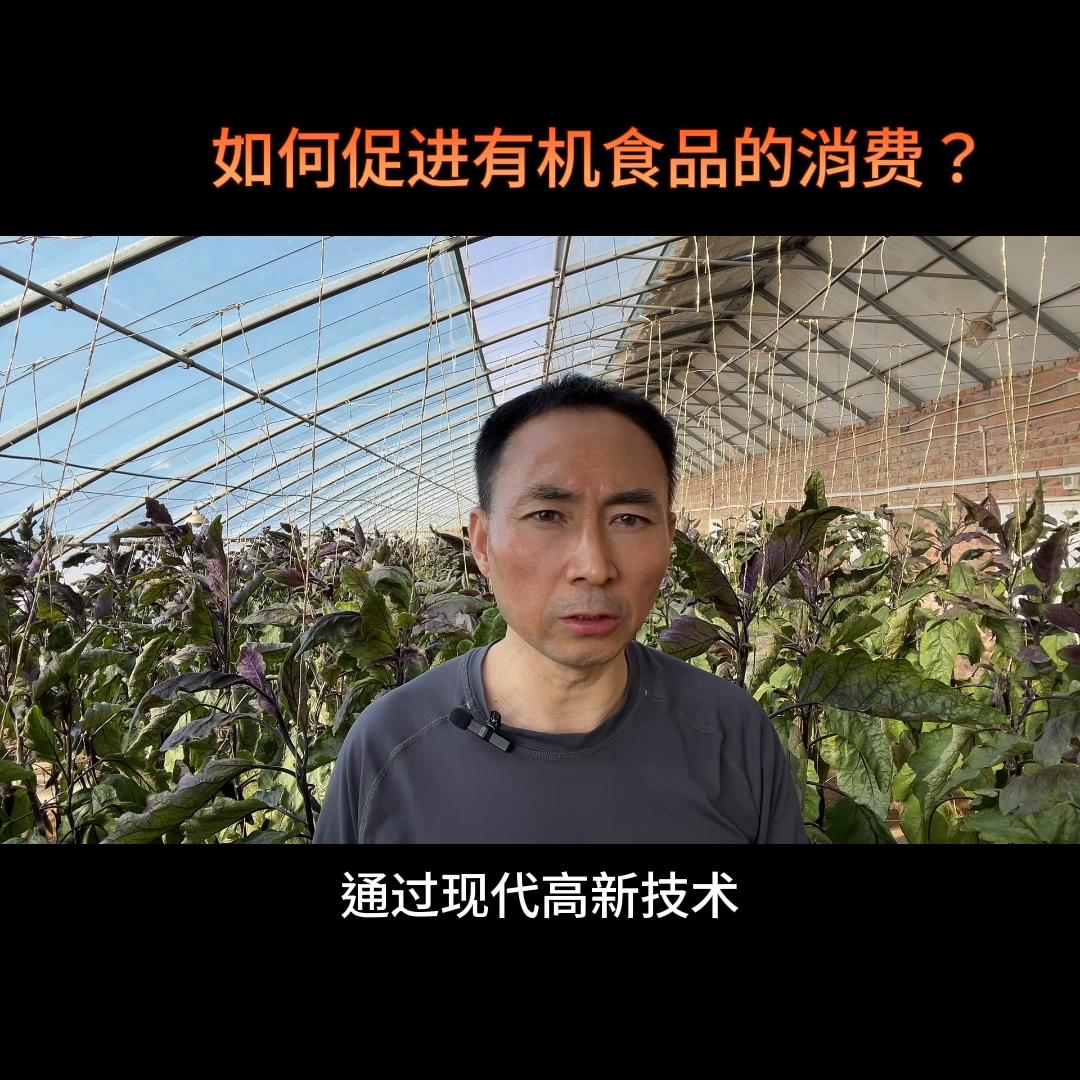 零食企业抖音短视频营销方案,短期食品怎样在抖音运营