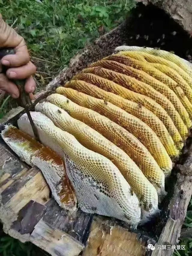 云屏三峡游玩攻略,云屏三峡3月份景色