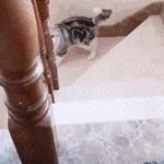 每次月经期都会咯血如何治疗,月经咯血怎么治病