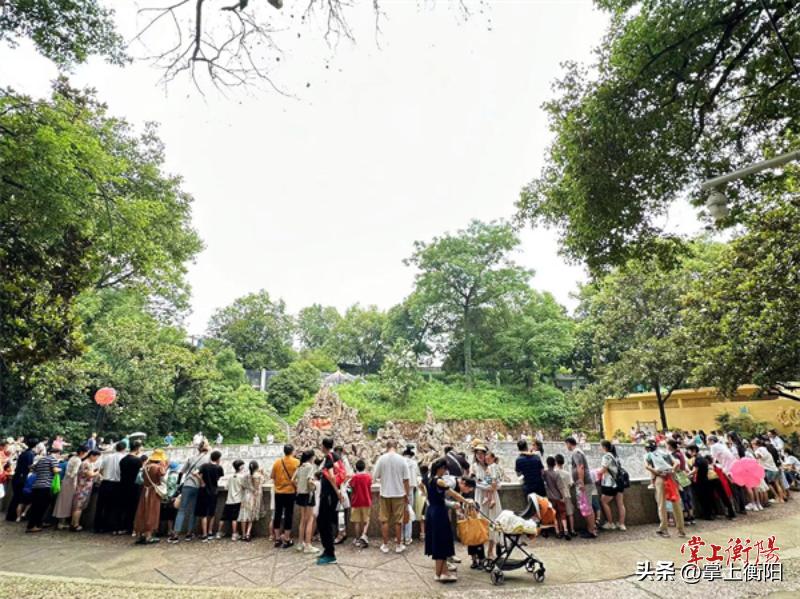 动物主题公园迷宫遛娃好去处,遛娃乐翻天