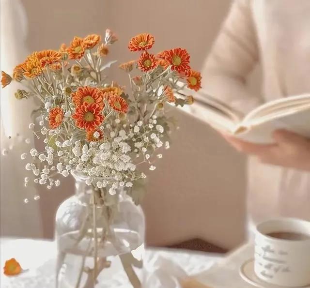 女子出轨情夫会判刑吗,女子出轨肛裂