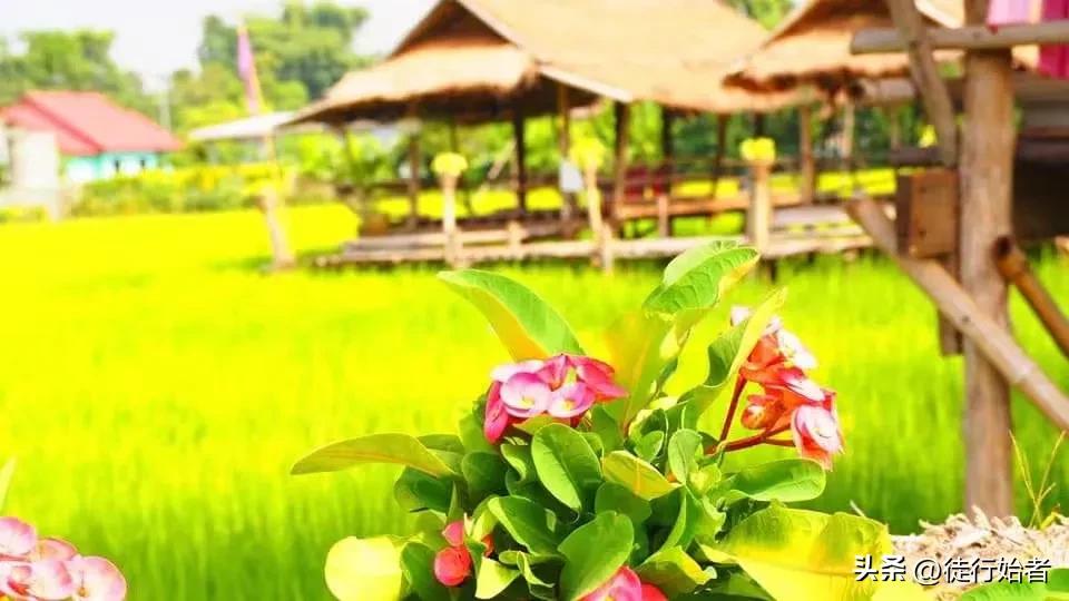 泰国有哪些小众人少好玩的地方,泰国小众好玩的地方有哪些