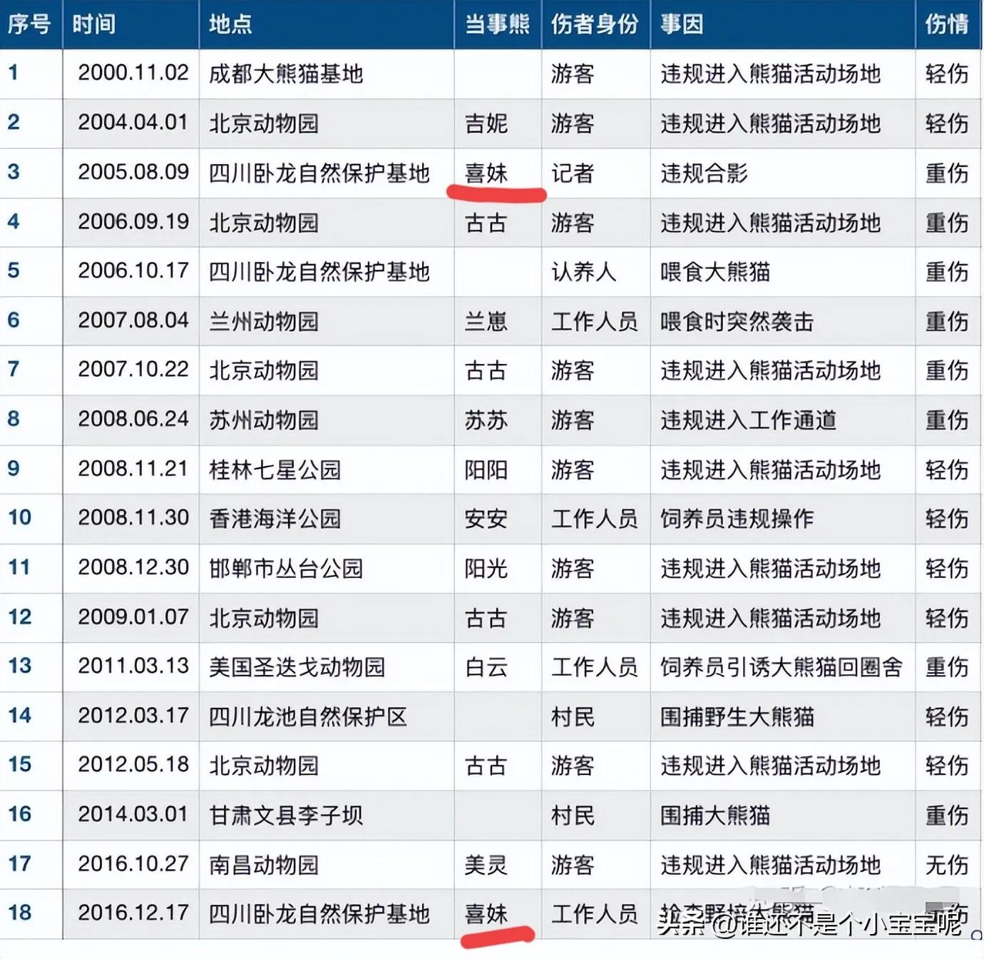 大熊猫喜妹咬伤饲养员,每天认识一只大熊猫