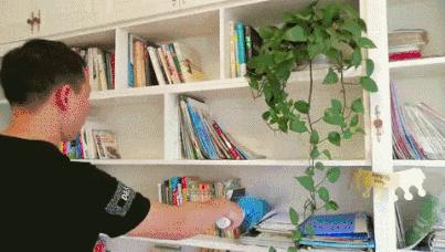 家里很多毛絮灰尘如何解决,家里毛絮灰尘怎么消除