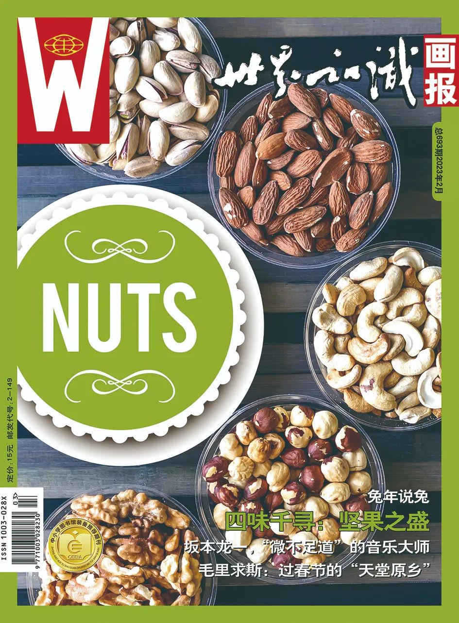 兔年说兔,让我们重新认识一下兔子