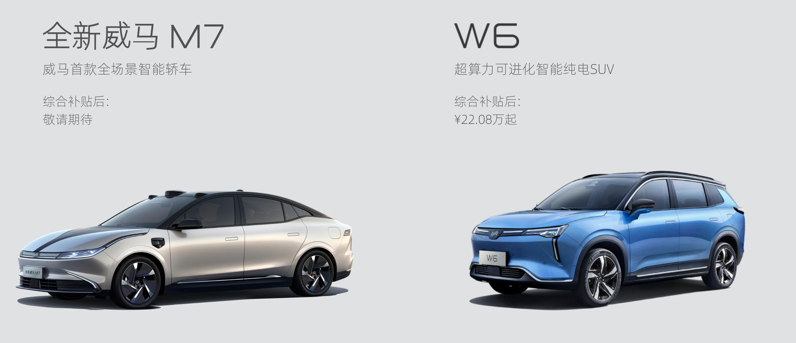 2021新能源品牌销量排名前十名,新能源汽车前十名品牌10万以内