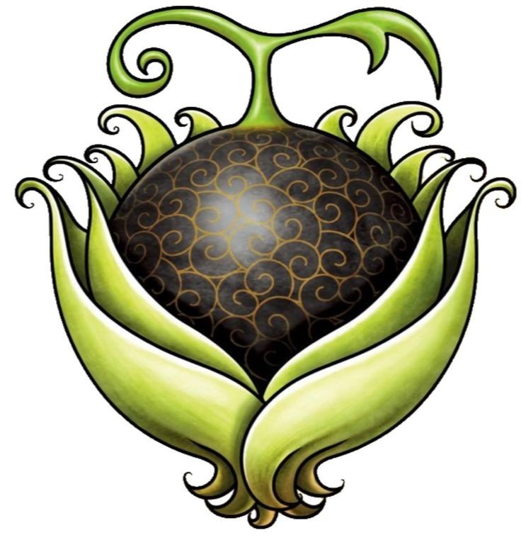 海贼王黑胡子的恶魔果实哪来的,海贼王黑胡子到底有几个恶魔果实