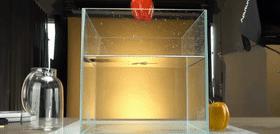 最弹跳的乒乓球,挑战吉尼斯纪录乒乓球