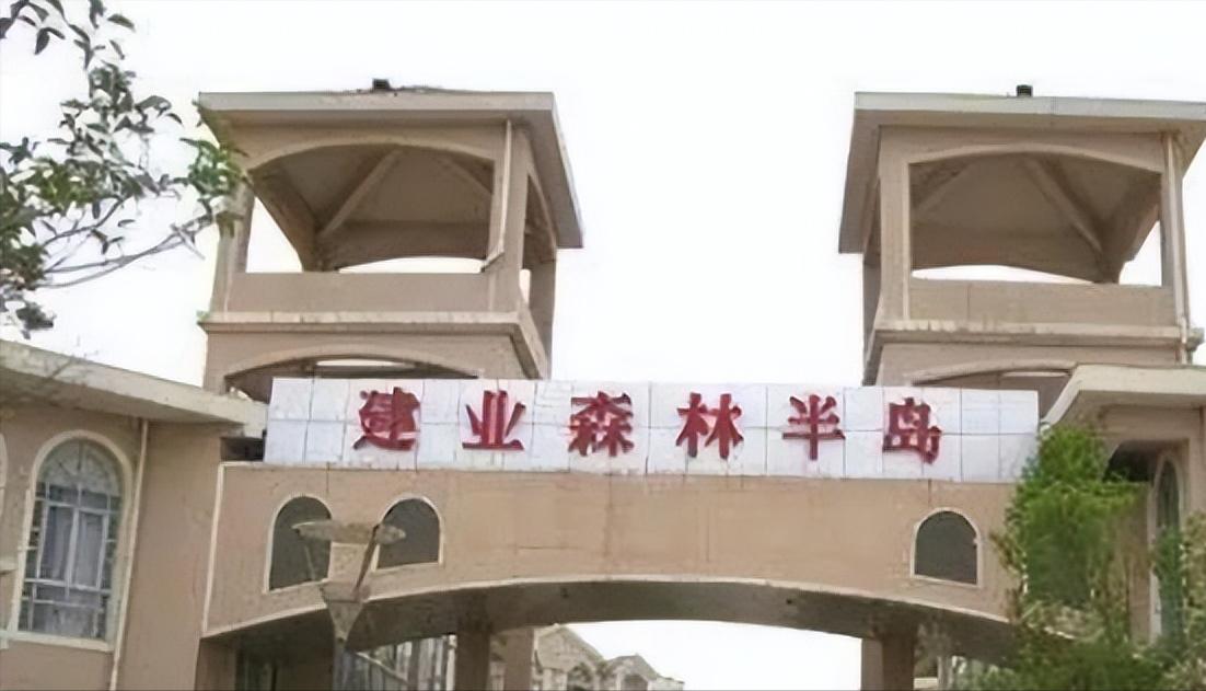 胡葆森地产,胡葆森在地产界什么地位