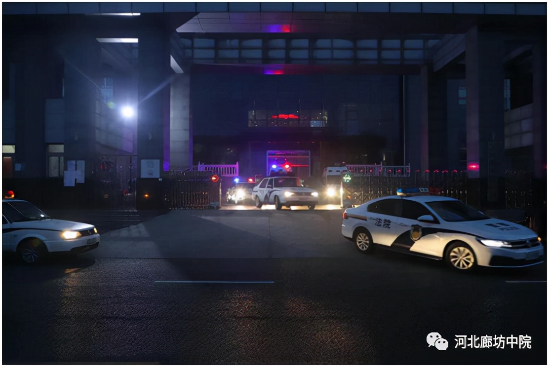 【*党**徽法徽交相辉映】廊坊法院坚决打赢抗疫歼灭战、打胜办案攻坚战工作纪实