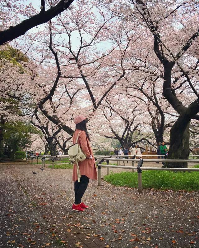 我，武汉IBM员工，为求婚创业，全款买独栋别墅，肠子都悔青了