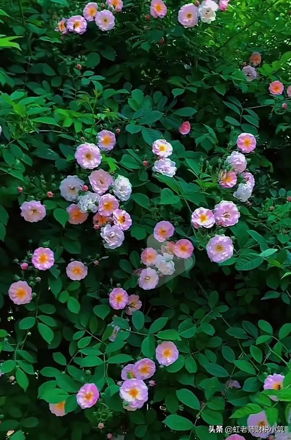 会计网络知识竞赛成绩单,会计继续教育竞赛参加人数