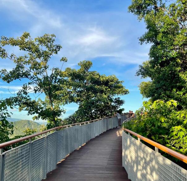 深圳绿色公园,深圳宝安值得去的公园