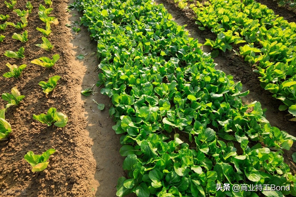 浅谈民宿经济的困境及如何破解,三四线民宿经营思路及方法
