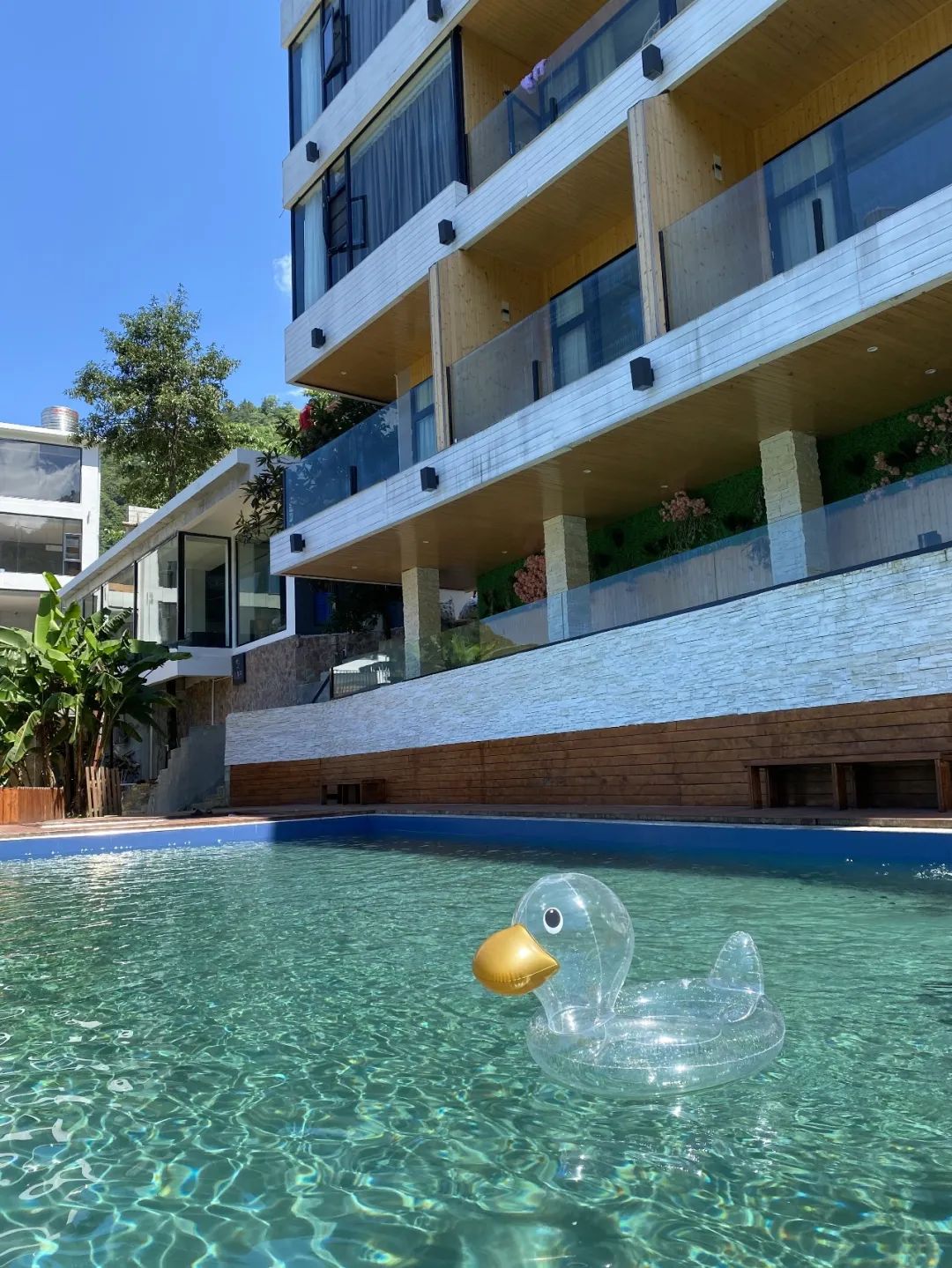 猫咪走太空步原视频最火,猫咪壁虎漫步视频