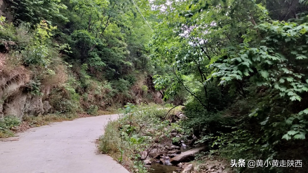 西安秦岭沣峪口夏季避暑去处,西安秦岭沣峪口附近哪里凉快