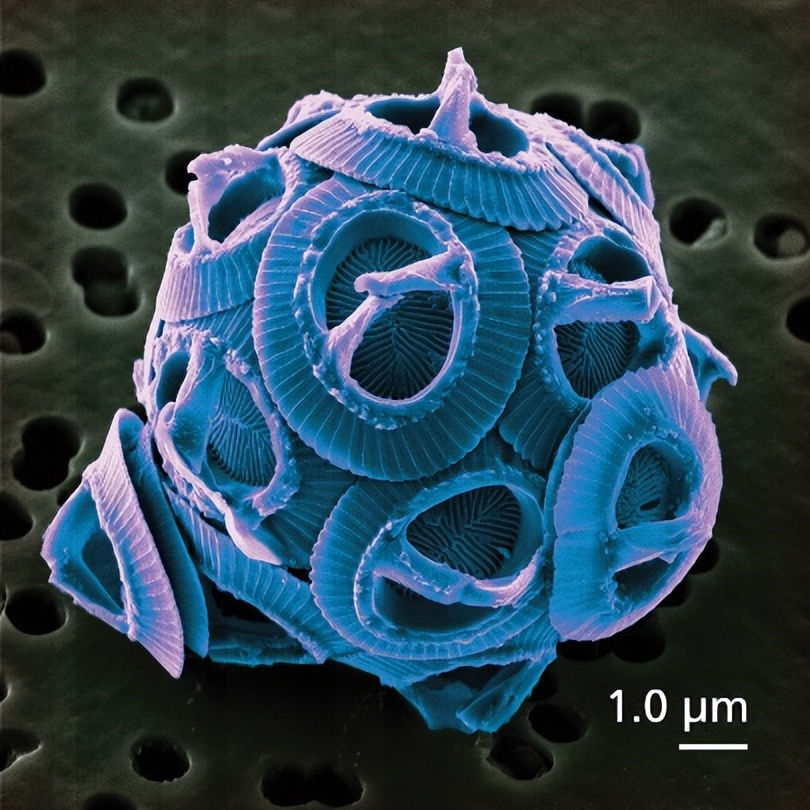 碳基生命必读！跟随碳原子脚步，重新游历138亿年的万物演化之旅