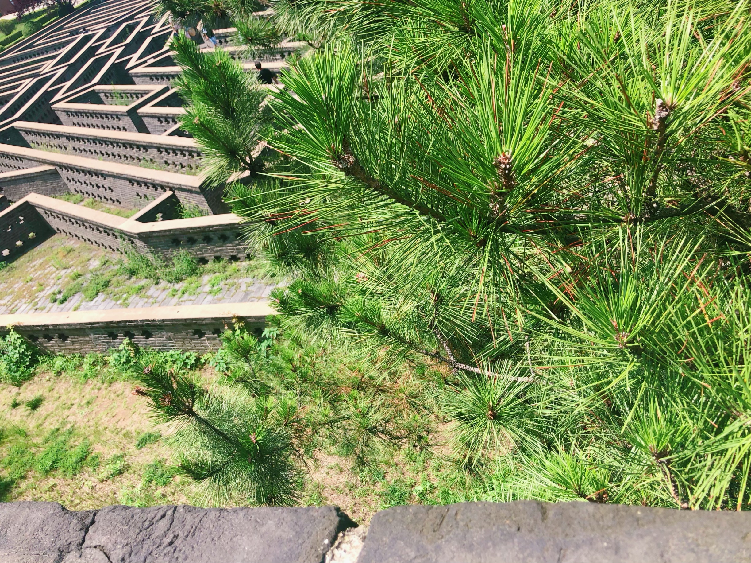 东戴河小众景区,东戴河小众旅游攻略