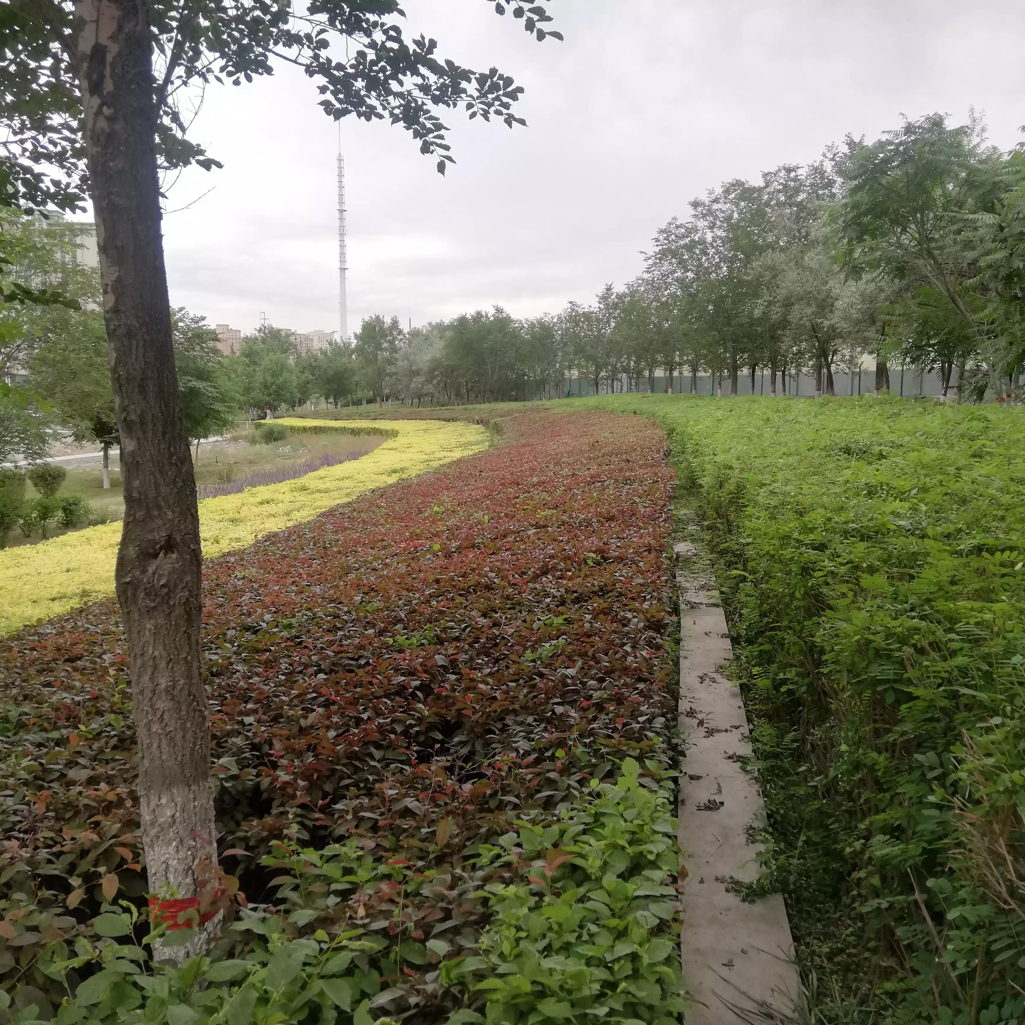 俄乌战场战役复盘,俄乌之战十点分析