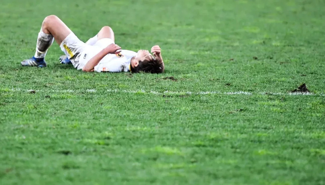 贵州茅台换帅,贵州茅台换帅是真的吗