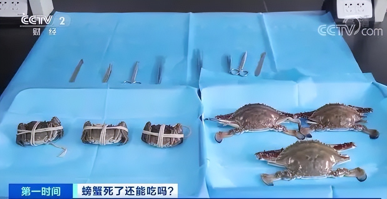 死螃蟹放冰箱7天能吃吗,死螃蟹高温处理能吃吗